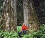 Retallack_Trees